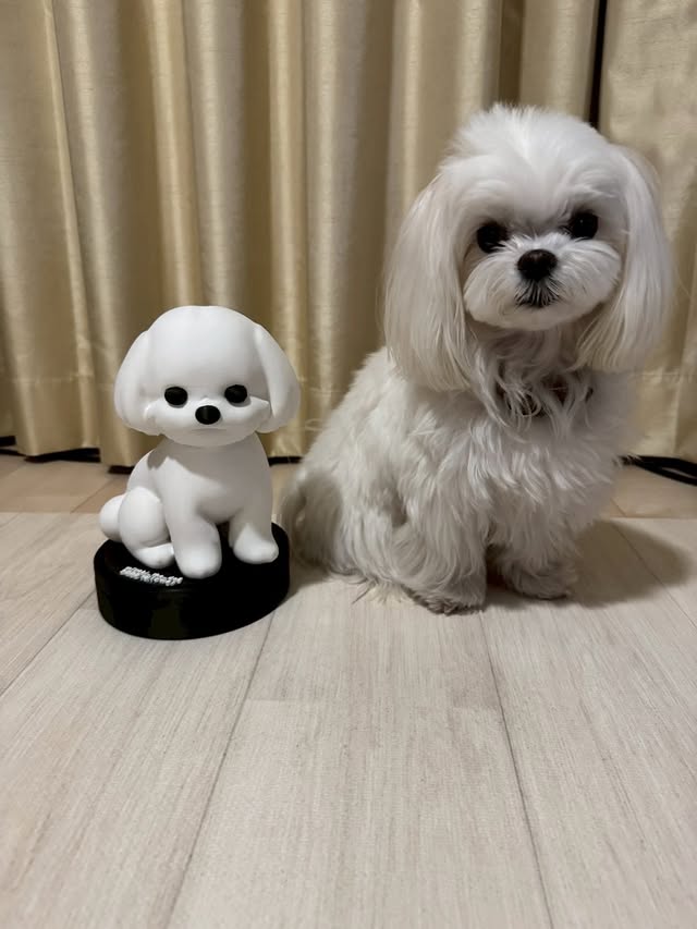 みやびと3Dプリントフィギュア