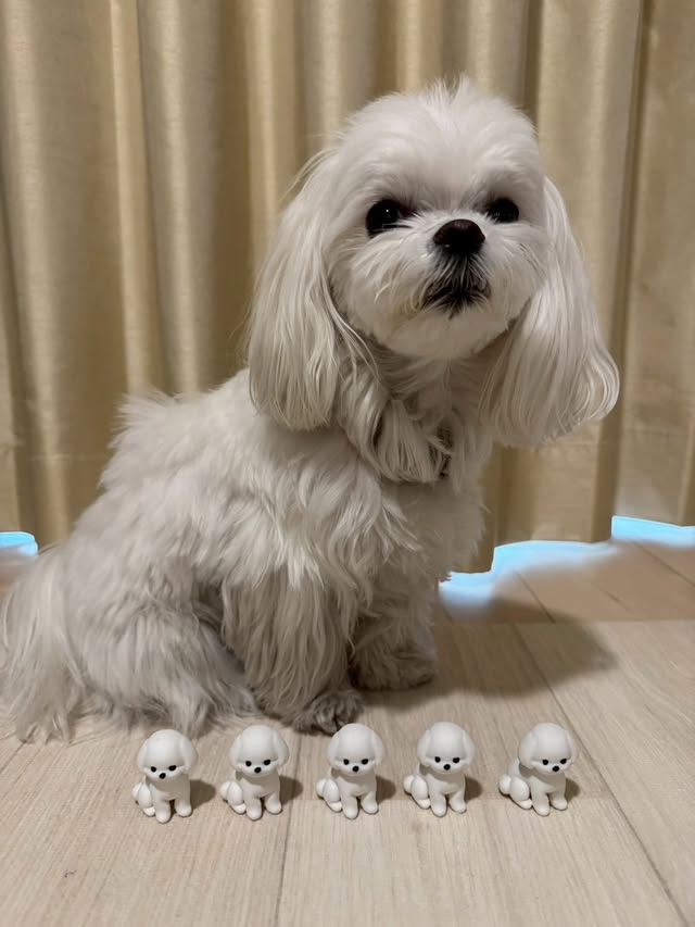 みやびとミニフィギュア軍団
